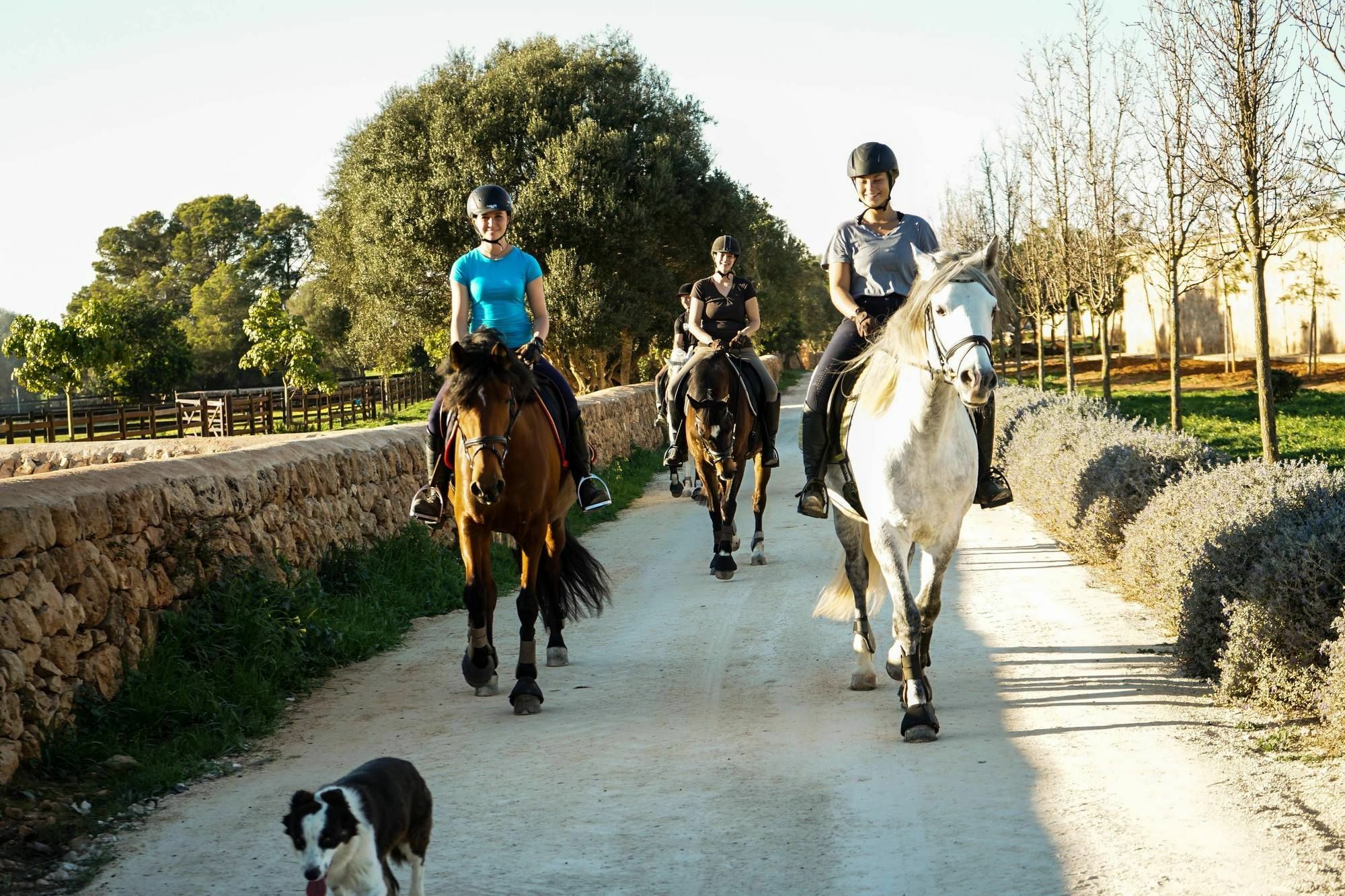 Villa Vmg Horse Ranch (Adults Only) à Llucmajor  Extérieur photo