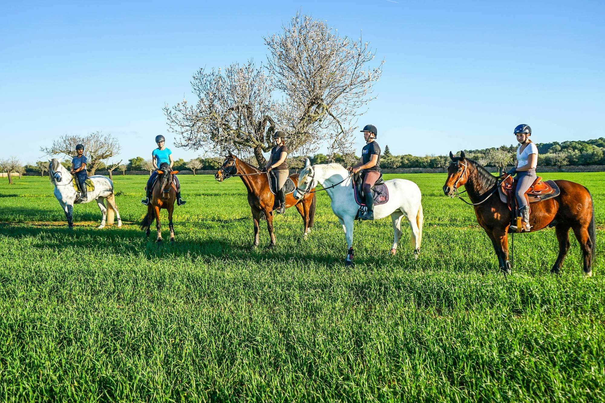 Villa Vmg Horse Ranch (Adults Only) à Llucmajor  Extérieur photo